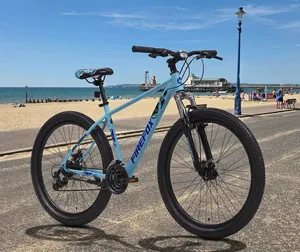 Blue Mountain Bike Suspension