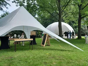 Tonnelle étoile 10 x 10 m (Tente Barnum Étoile / Star tent)