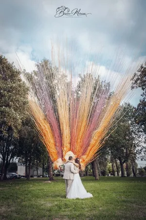 Feux d'Artifice de Jour (Fumées Colorées) |Cérémonie laïque et Mariage