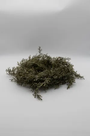 Bud Greenery