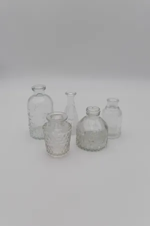 Bud Vases (Clear)