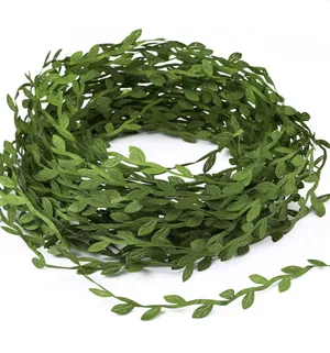 GWHOLE Vine Ribbon