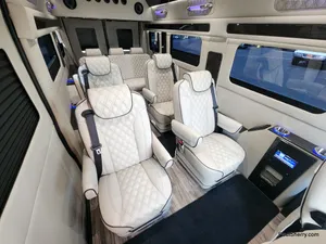 Luxury 9 Passenger Van