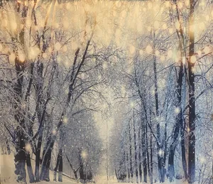 Winter wonderland
