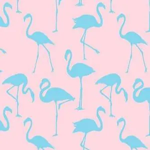 Flamingo 2