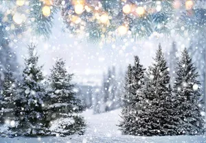 Winter wonderland 2