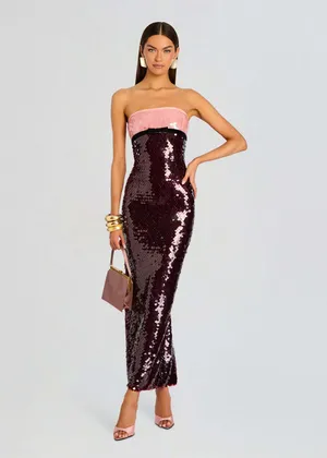 Retrofête Lirael Sequin Dress in Rose/Port/Black