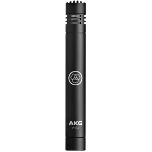 AKG Perception P170
