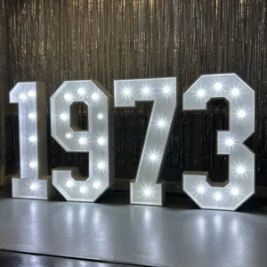 Giant 4ft Light Up Year Hire