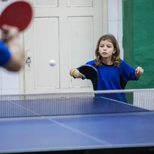 Indoor Table Tennis Table