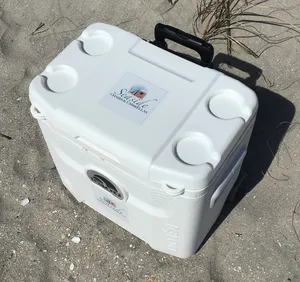 Cooler & Ice