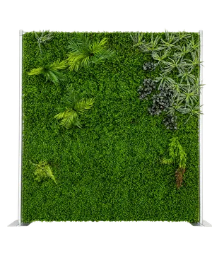 Grass Wall Lush