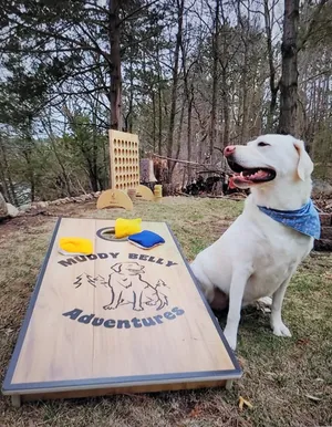Cornhole