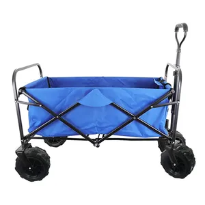 Beach Wagon
