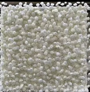 White rose garden flower wall Rental 8ft by 8ft