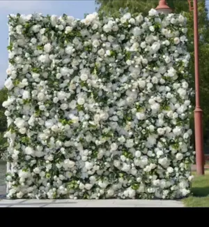 Luxe Rose  flower wall Rental 8ft by 8ft