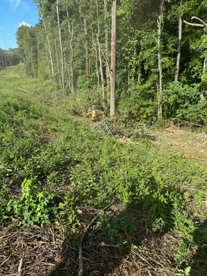 Land clearing quote