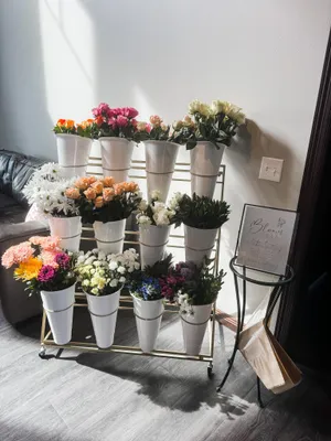 Bloom Bar Cart - 12 buckets 