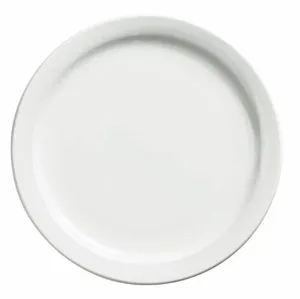 Dinner Plate 10.4