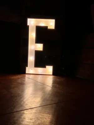 36in Light Up Marquee Letter E