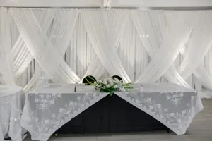 20ft Fancy Sheer Head Table Backdrop