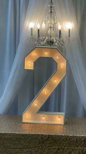 36” Marquee Number 2