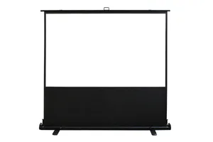 Floor Pull Up Projection Screen 110