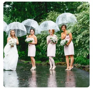 Clear Umbrella