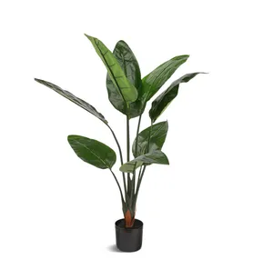 Bird Of Paradise Tree 45