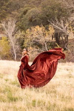 Velveteen Gown