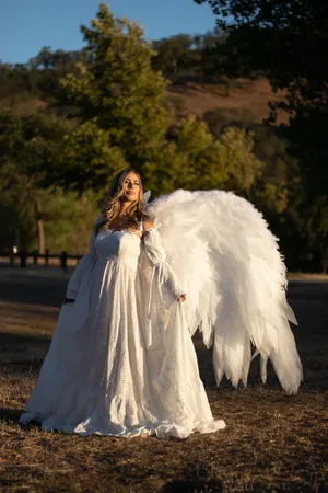 Wings