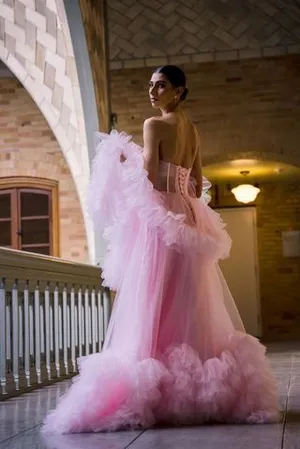 Ballet Pink