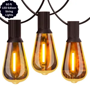 60ft LED Outdoor Edison String Lights - Warm White - Dimmable 