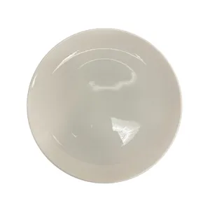 Dinner Plate - 10.5