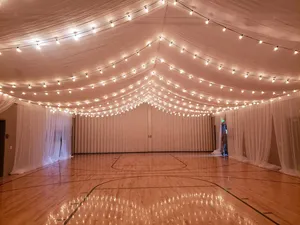 Ceiling Treatments