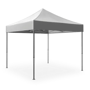 10'x10' Pop-up Tent with a 60