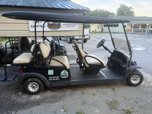 6 Seater cart