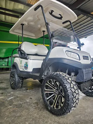 Lifted 4 Seater Cart