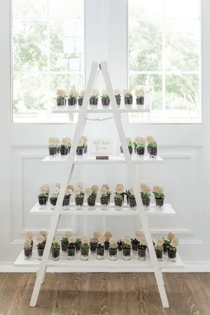 Ladder Shelf 5 ft