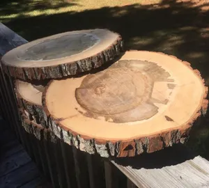 Wood Slices Large