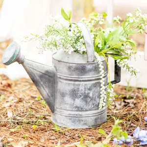  Antique Watering Cans