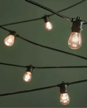 Festoon Lights