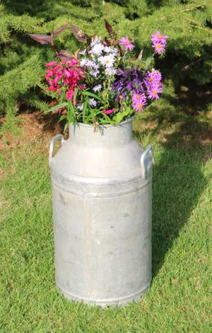 Milk Churn