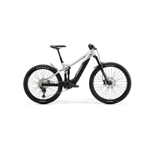 Merida eOne Sixty 500 (Large)