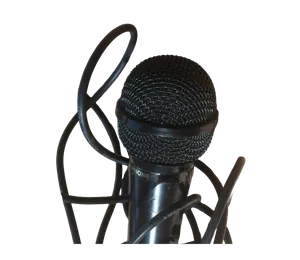 Wired Microphone