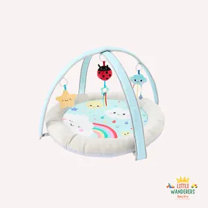 Light and Music Play Gym