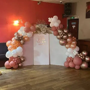 Sail Board With 2 Extra Boards & Balloon Garland