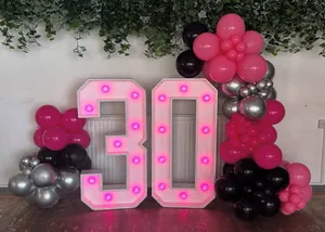 2M Balloon Garland