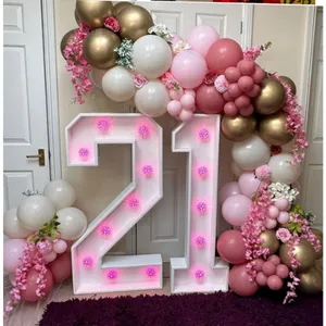 2.5M Balloon Garland