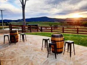 Wine Barrels with Black Rings